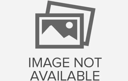 Quyền lợi của các bên 